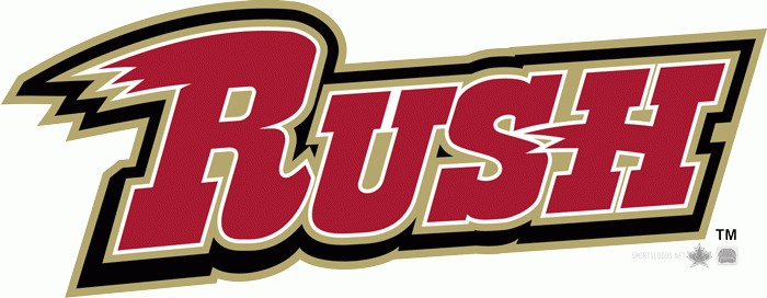 rapid city rush 2014-pres wordmark logo iron on heat transfer